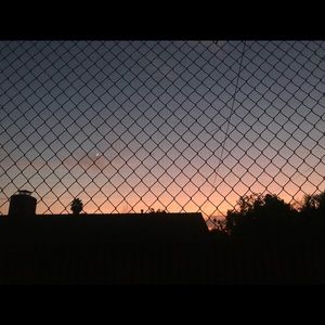 Meet your Posher, Leyla